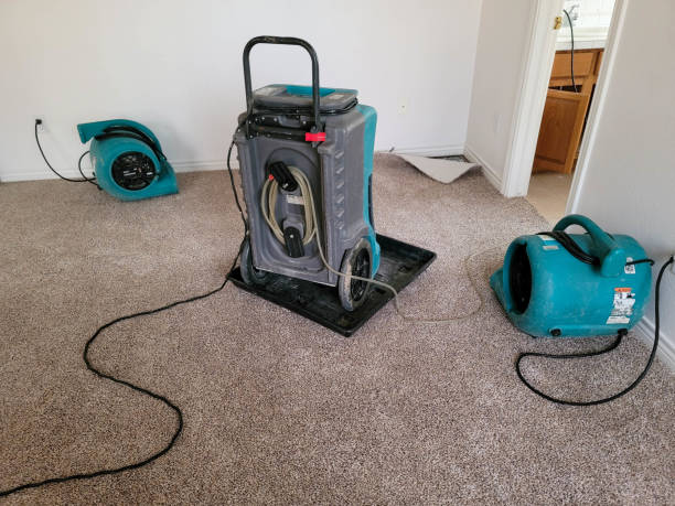 Best Fire Damage Restoration  in Paramount, CA