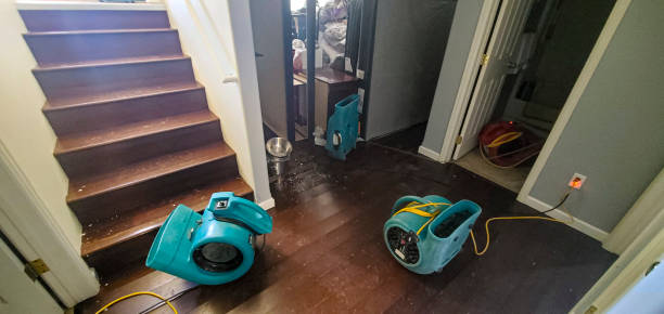 Best Flood restoration services  in Paramount, CA