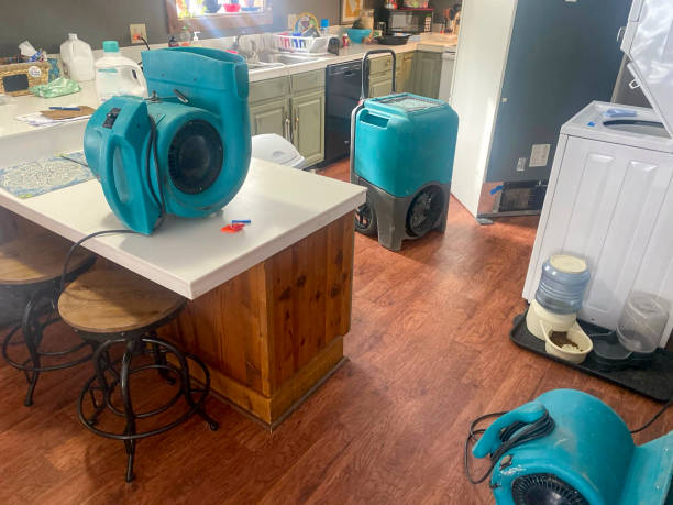 Best Water damage cleanup near me  in Paramount, CA