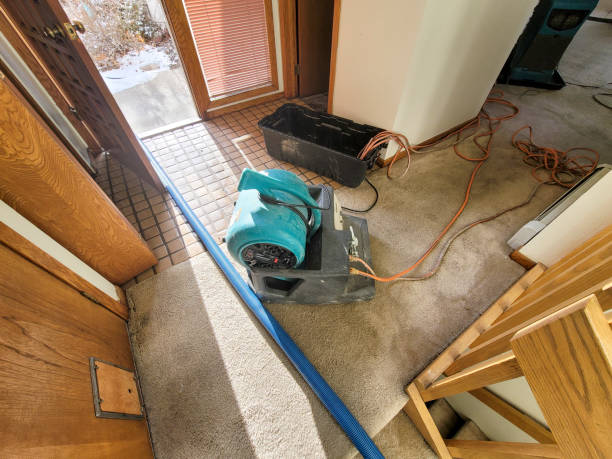 Best Sewage cleanup and water damage restoration  in Paramount, CA
