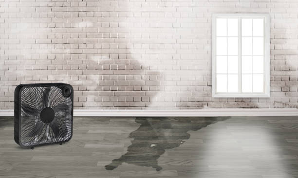 Best Commercial water damage restoration  in Paramount, CA