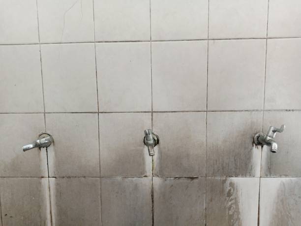 Best Residential water damage restoration  in Paramount, CA