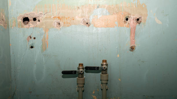 Best Emergency water damage restoration  in Paramount, CA
