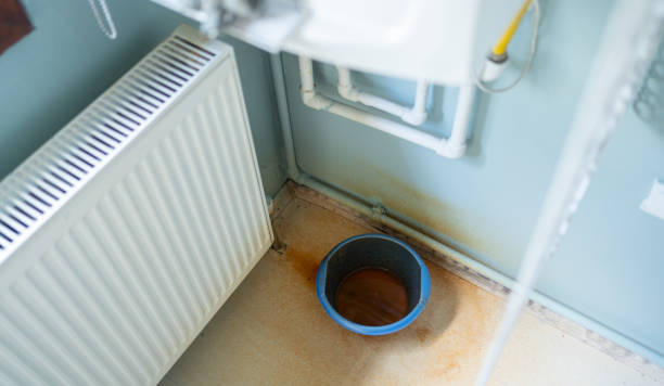 Best Water damage restoration near me  in Paramount, CA