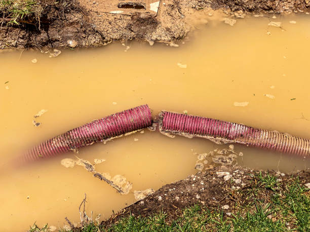 Best 24-hour water damage restoration  in Paramount, CA