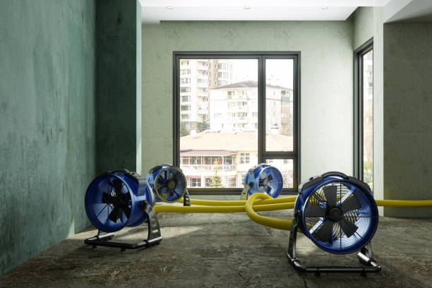 Trusted CA Water damage restoration Experts