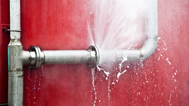  Paramount, CA Water damage restoration Pros
